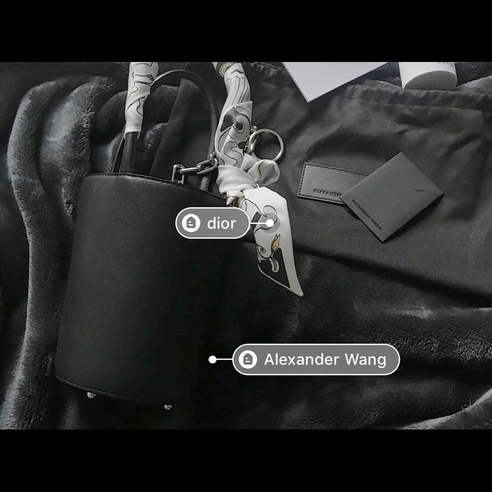 Alexander Wang Roxy bucket bag